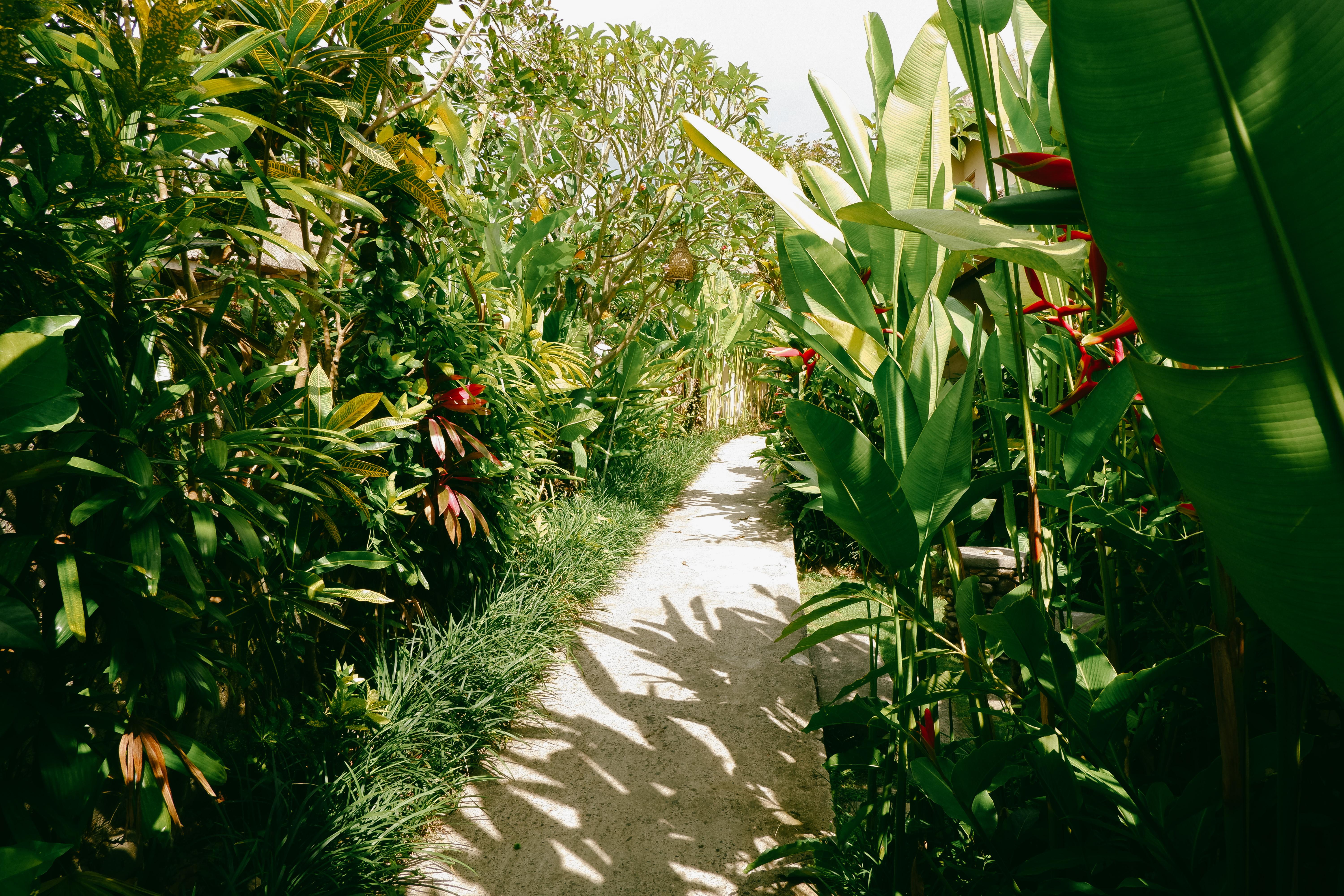 Mesari 4* Ubud