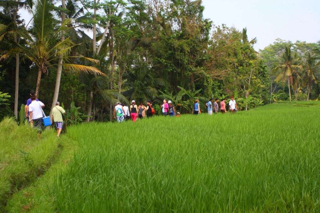 Mesari 4* Ubud