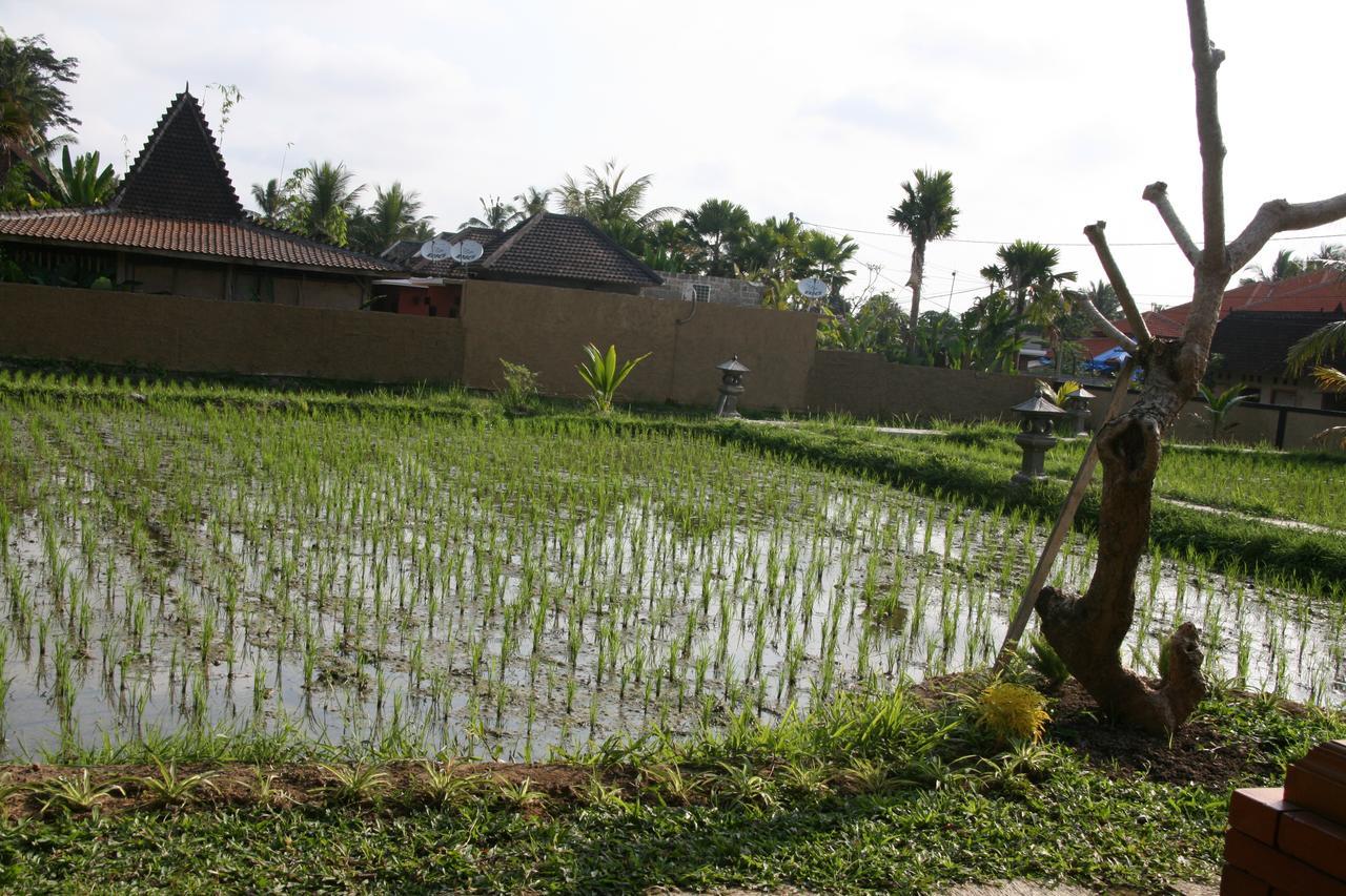 Atta Mesari 4* Ubud (Bali)