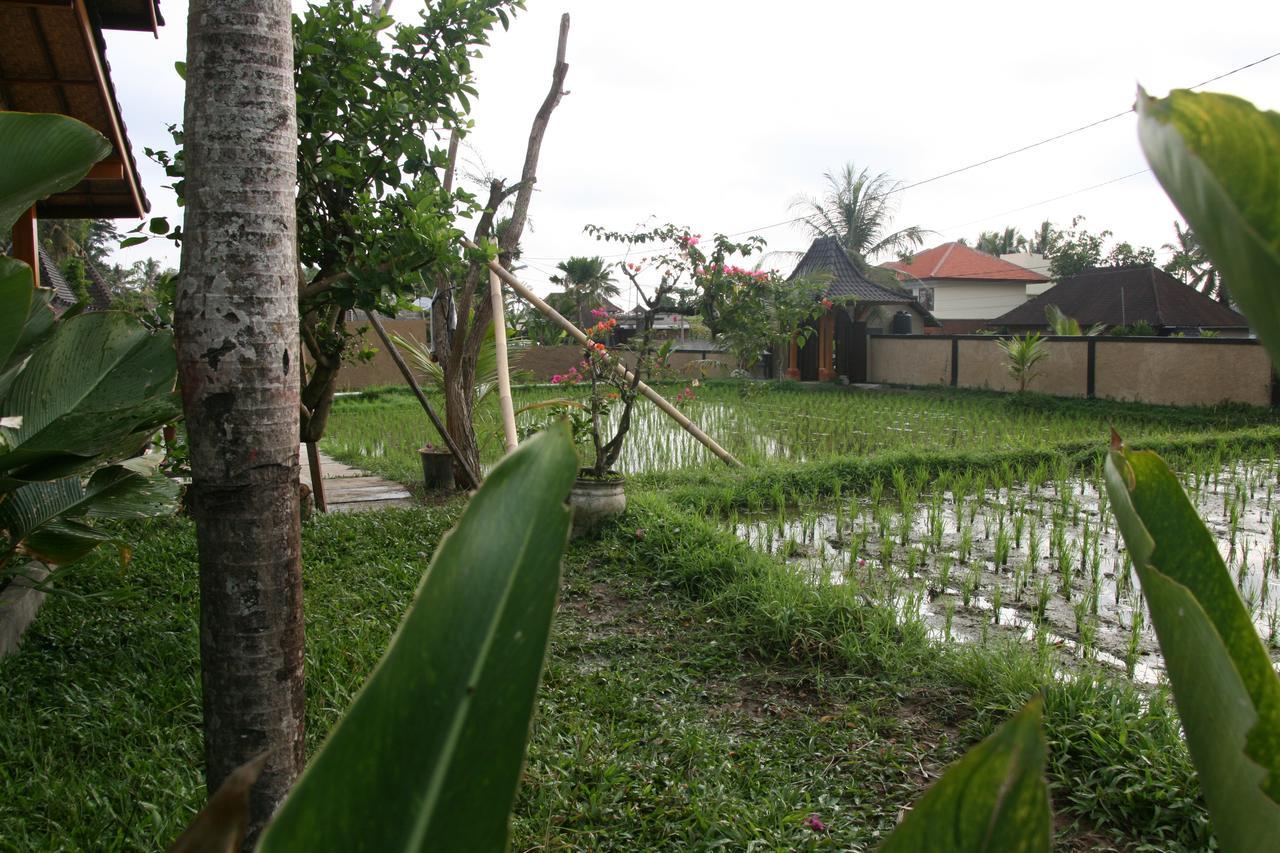 Atta Mesari